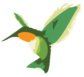 colibri-rvb